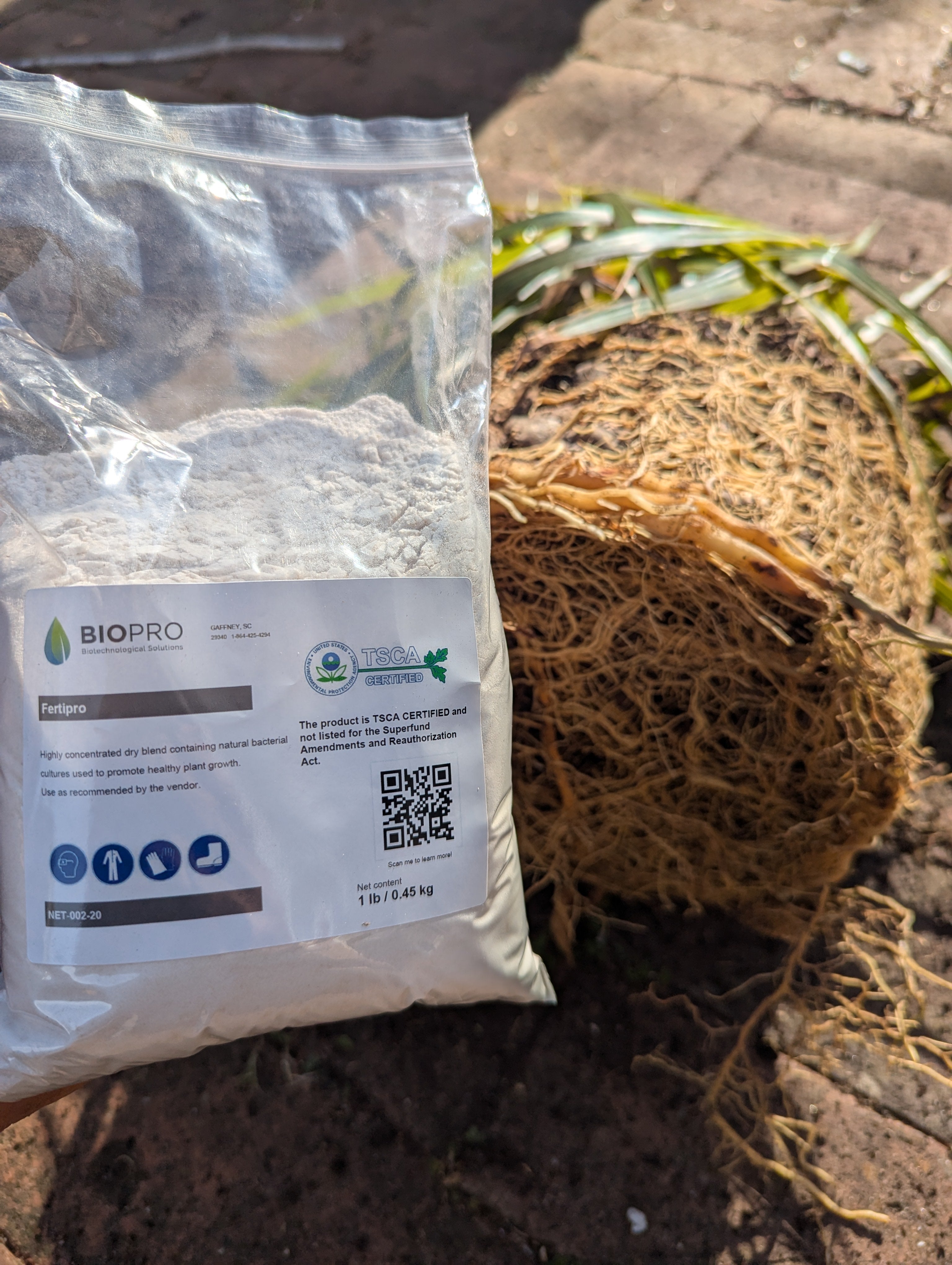 Boost crop yields naturally with Fertipro. Discover how beneficial bacteria enhance soil health and plant growth. Enahance root growth naturally!