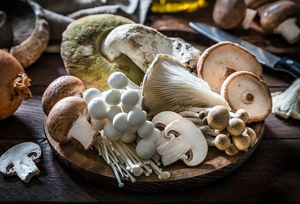 Mushroom Power: Probiotic Supplements for Optimal Human Health