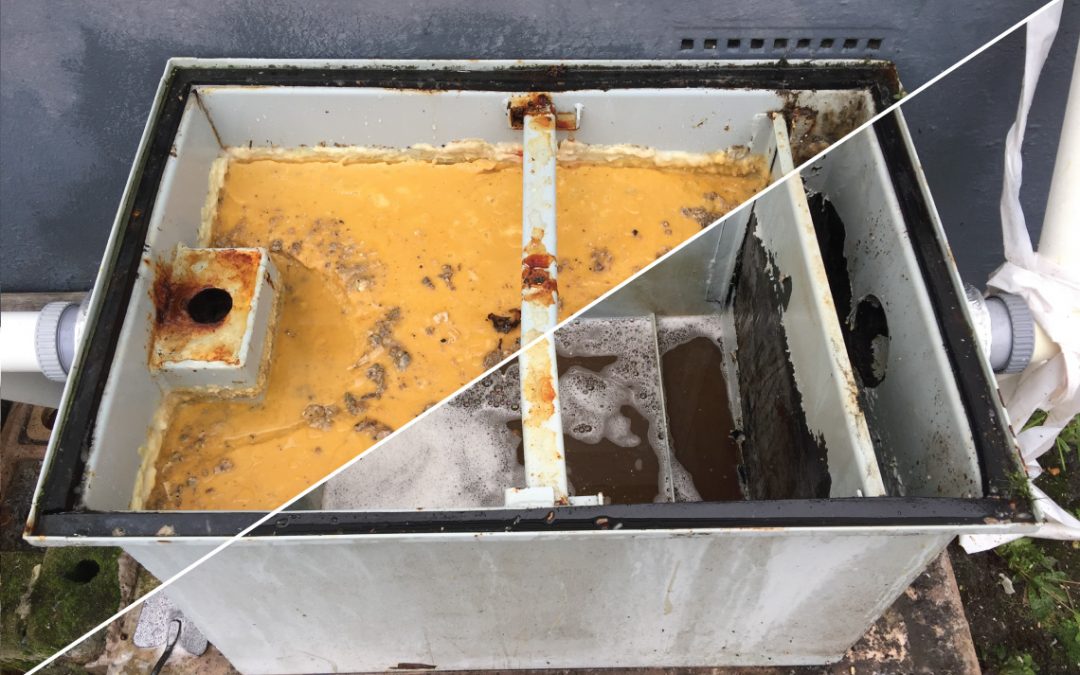 Grease trap treatment, REMOVE ODOR, Efficient bacteria/enzymes targeting grease degradation.