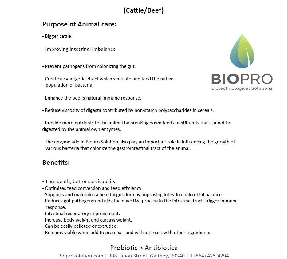 Cattle feed supplements, Ruminants feed supplements, Probiotics for heForget about antibiotics that have been shown to hurt humankind.
Get the best animal feed natural supplement on the market and increase your production from 10 to 20Animal feed supplementBiopro SolutionsBiopro SolutionsBiopro SolutionCattle feed supplements, Ruminants feed supplements, Probiotics