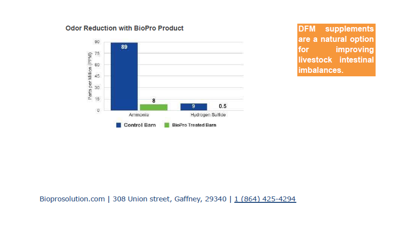 Cattle feed supplements, Ruminants feed supplements, Probiotics for heForget about antibiotics that have been shown to hurt humankind.
Get the best animal feed natural supplement on the market and increase your production from 10 to 20Animal feed supplementBiopro SolutionsBiopro SolutionsBiopro SolutionCattle feed supplements, Ruminants feed supplements, Probiotics