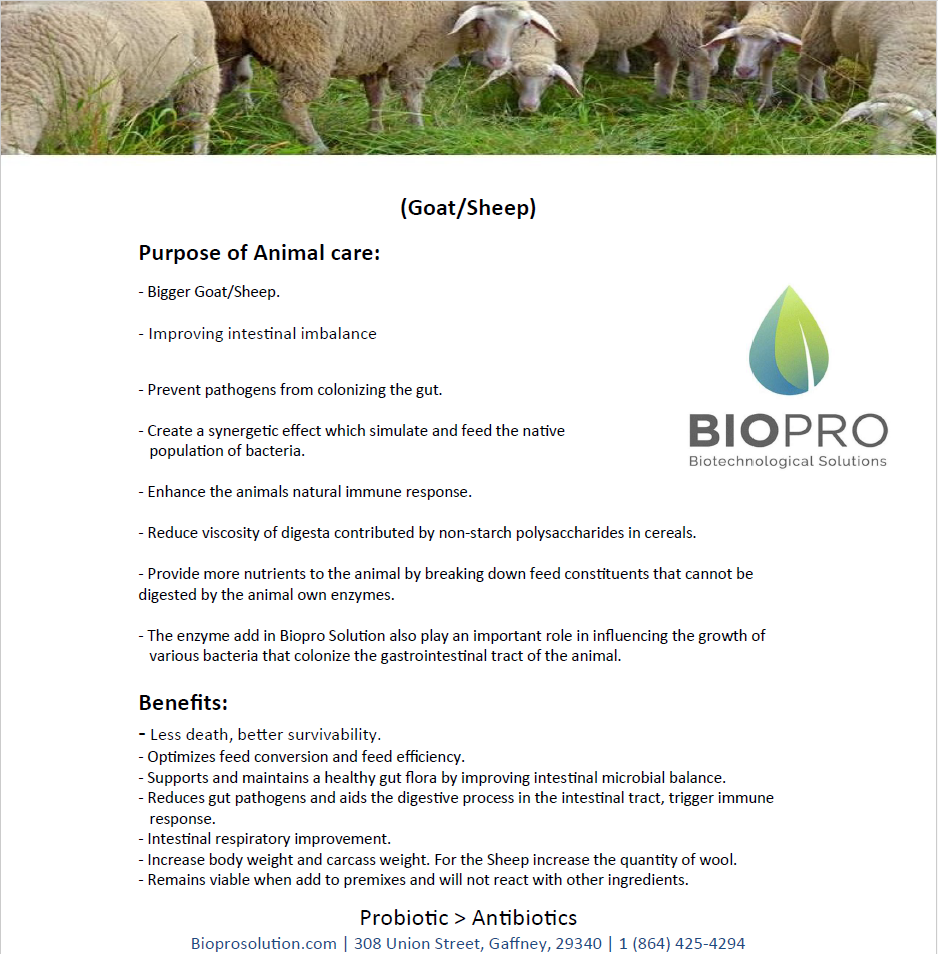 Goat Feed supplements, Sheep Feed supplements, Livestock Nutrition, FeForget about antibiotics that have been shown to hurt humankind.
Get the best animal feed natural supplement on the market and increase your production from 10 to 20Animal feed supplementBiopro SolutionBiopro SolutionBiopro SolutionGoat Feed supplements, Sheep Feed supplements, Livestock Nutrition, Feed Ingredients, Feed Additives, probiotics