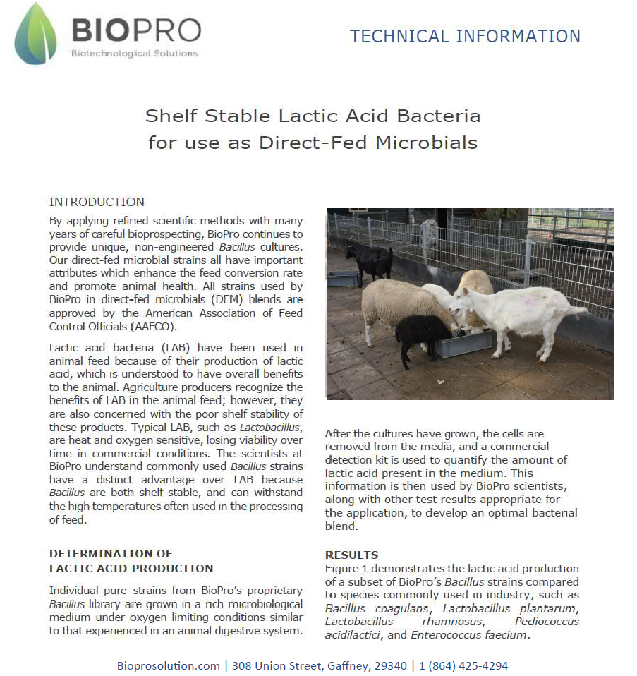 Goat Feed supplements, Sheep Feed supplements, Livestock Nutrition, FeForget about antibiotics that have been shown to hurt humankind.
Get the best animal feed natural supplement on the market and increase your production from 10 to 20Animal feed supplementBiopro SolutionBiopro SolutionBiopro SolutionGoat Feed supplements, Sheep Feed supplements, Livestock Nutrition, Feed Ingredients, Feed Additives, probiotics