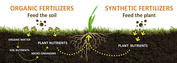 Fertipro, Horticulture, Botany, Agriculture, Organic Farming, Plant PhThe recommendable concentration. (2gr./gal. )
Looking for the very best way to grow any type of plants/trees or seeds without puting any chemical in your garden?
 
YBiopro SolutionsBiopro SolutionsBiopro SolutionFertipro, Horticulture, Botany, Agriculture, Organic Farming, Plant Physiology, Greenhouse Cultivation, Agroecology, Sustainable Agriculture