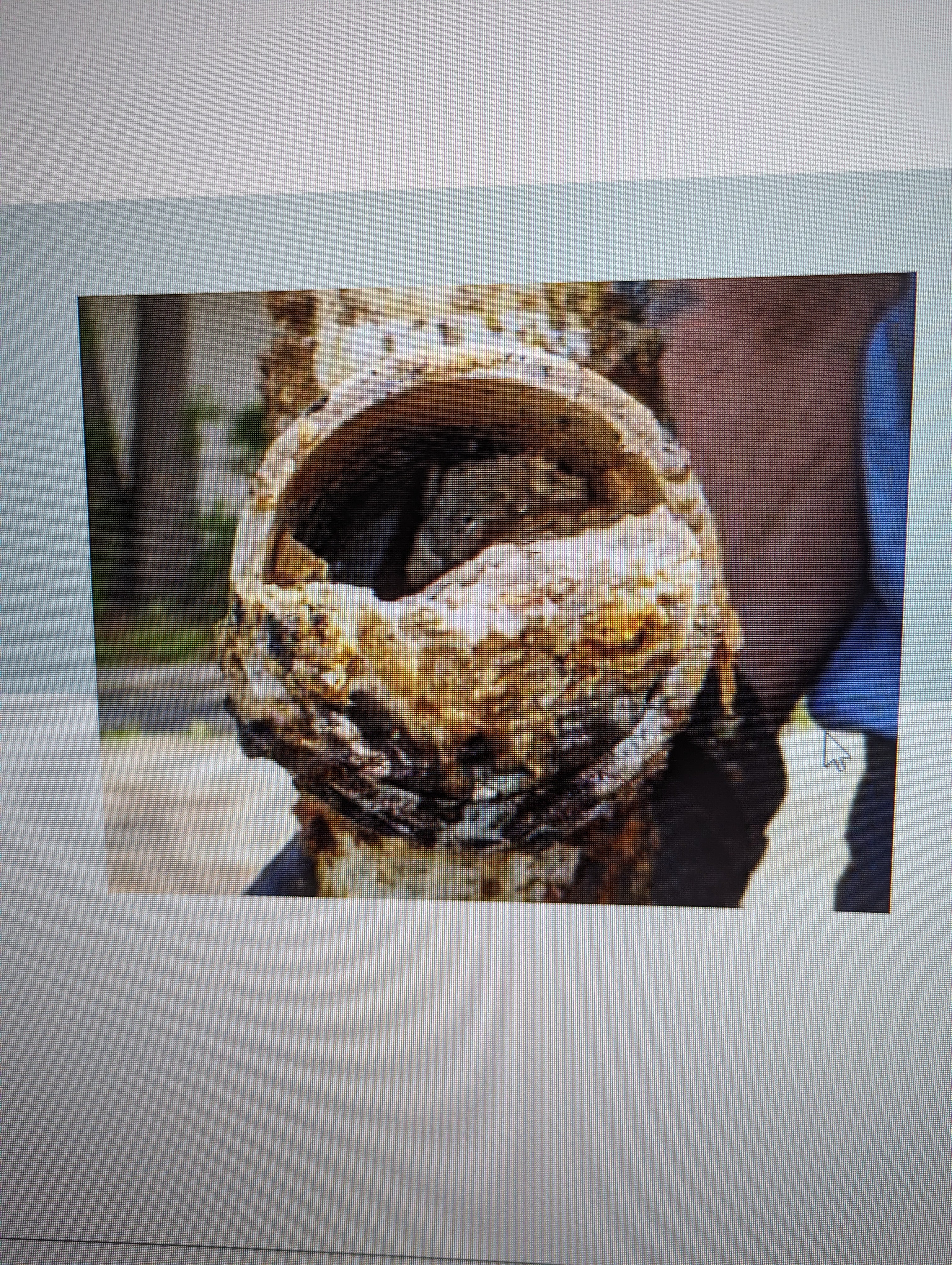 Bactopro, grease trap treatment, remove odor, 2 billion of bacteria that will digeste the grease,