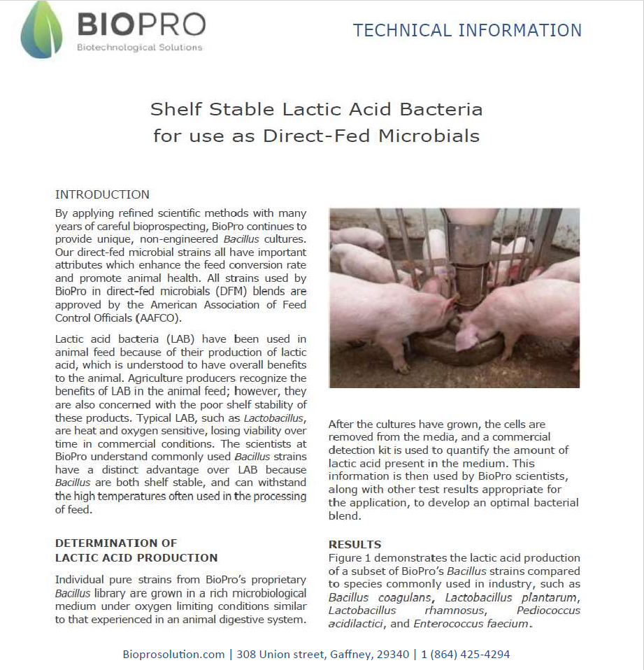 Pig feed supplements, Swine feed supplements,  Livestock Nutrition, FeForget about antibiotics that have been shown to hurt humankind.
Get the best animal feed natural supplement on the market and increase your production from 10 to 20Biopro SolutionBiopro SolutionBiopro SolutionPig feed supplements, Swine feed supplements, Livestock Nutrition, Feed Ingredients, Feed Additives, probiotics