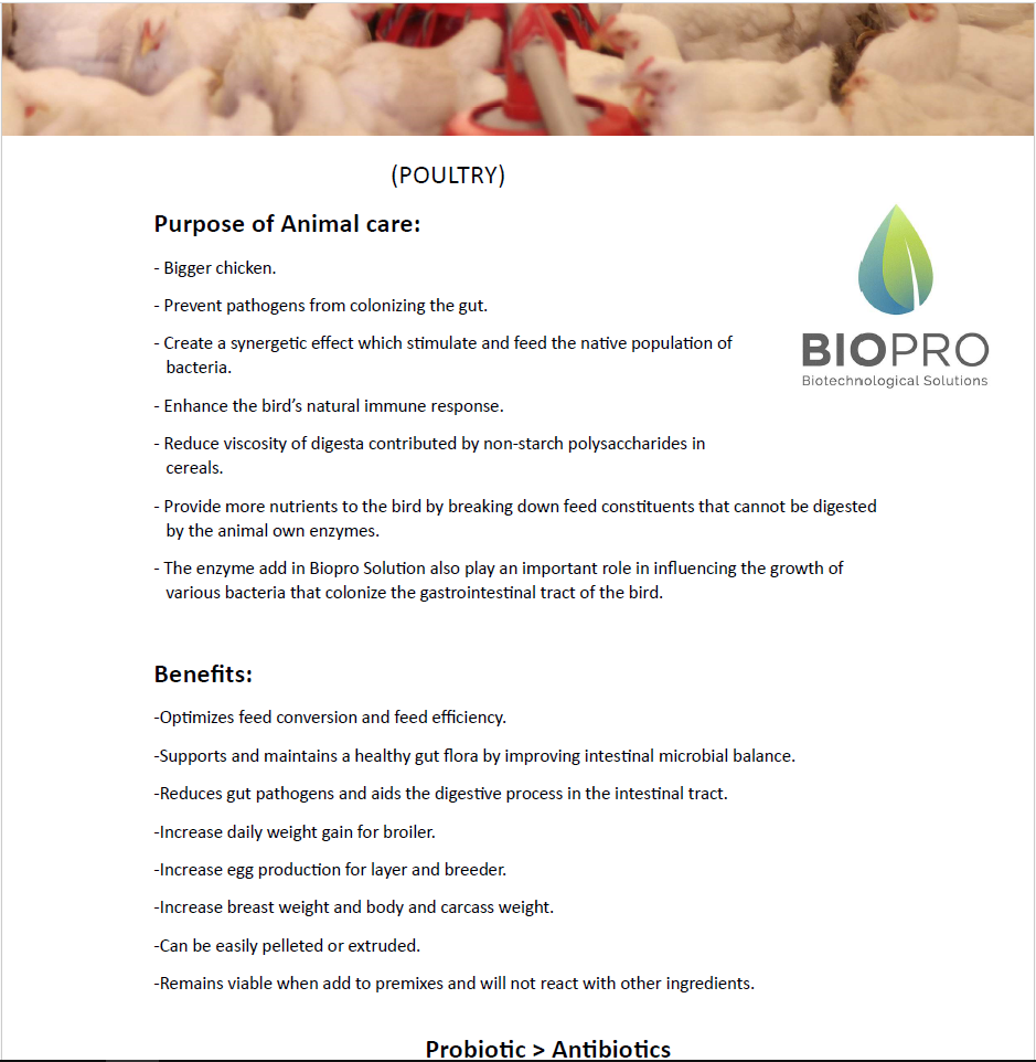 Poultry Feed supplements, Enzymes in Animal Feed, Organic Feed, probioForget about antibiotics that have been shown to hurt humankind.
Get the best animal feed natural supplement on the market and increase your production from 10 to 20Animal feed supplementBiopro SolutionsBiopro SolutionsBiopro SolutionAnimal Feed, Organic Feed, probiotic