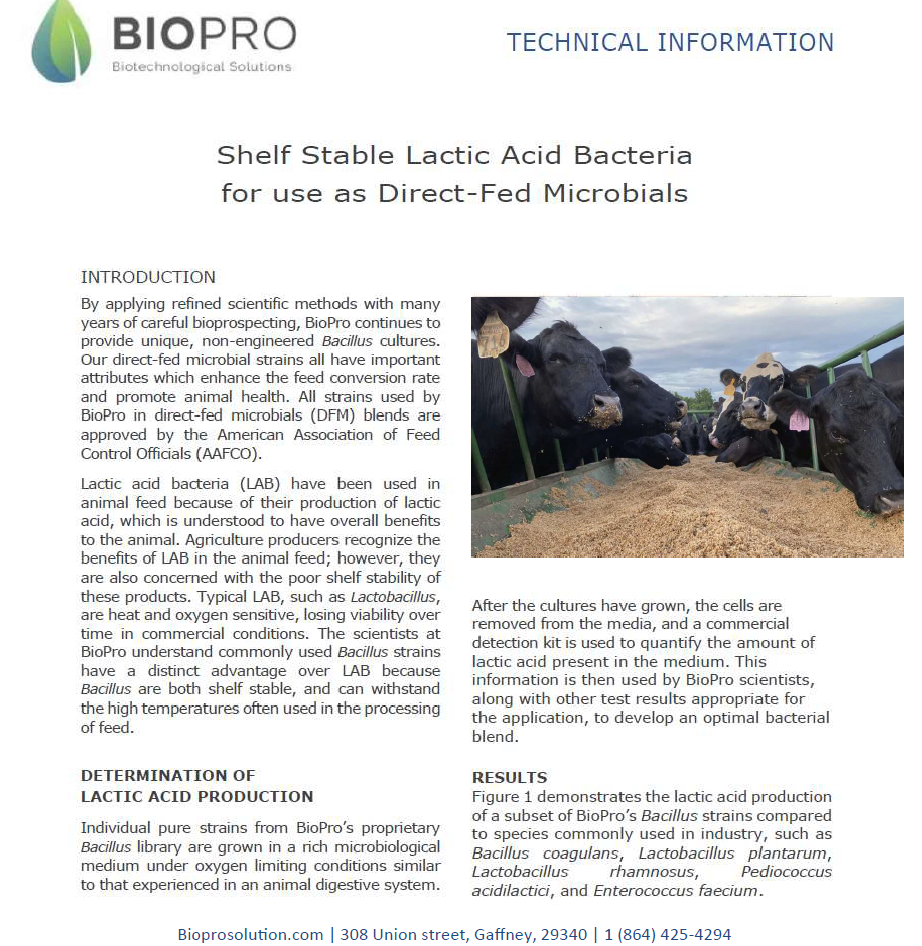 Cattle feed supplements, Ruminants feed supplements, Probiotics for heForget about antibiotics that have been shown to hurt humankind.
Get the best animal feed natural supplement on the market and increase your production from 10 to 20Animal feed supplementBiopro SolutionsBiopro SolutionsBiopro SolutionCattle feed supplements, Ruminants feed supplements, Probiotics