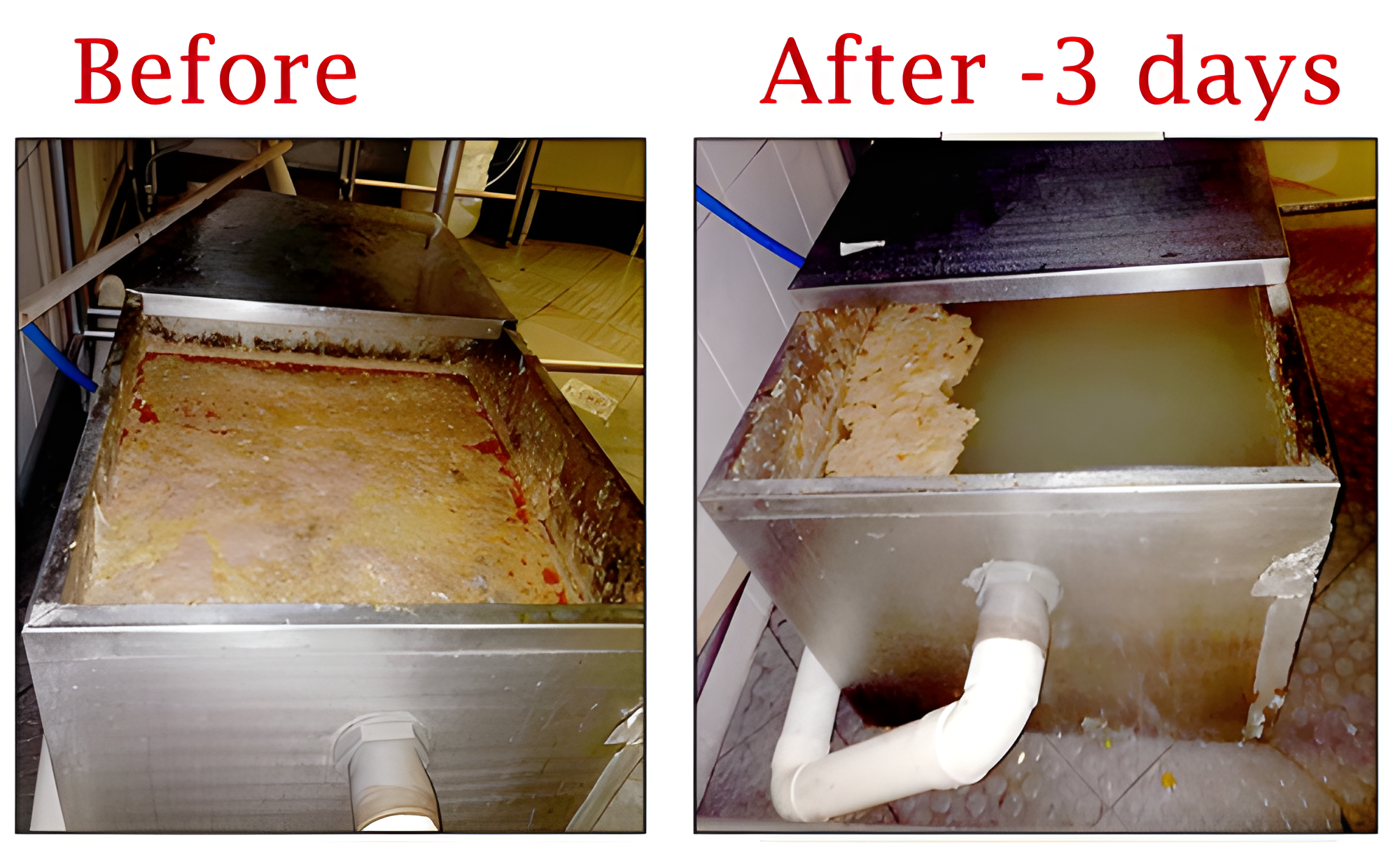 Bactopro, grease trap treatment, remove odor, 2 billion of bacteria that will digeste the grease,